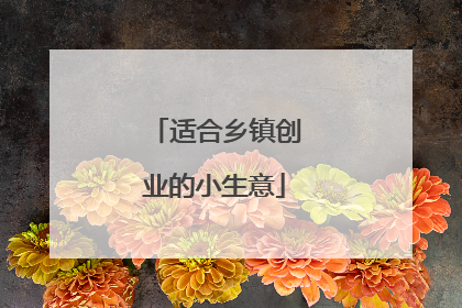 适合乡镇创业的小生意