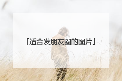 适合发朋友圈的图片