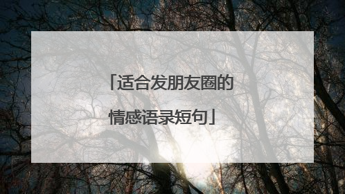 适合发朋友圈的情感语录短句