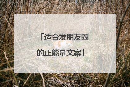 适合发朋友圈的正能量文案
