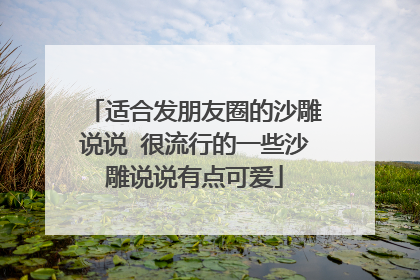 适合发朋友圈的沙雕说说 很流行的一些沙雕说说有点可爱