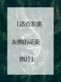 适合发朋友圈的花束图片