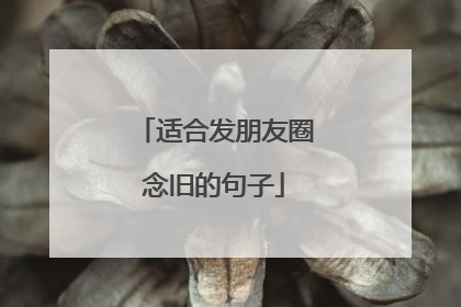 适合发朋友圈念旧的句子