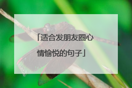 适合发朋友圈心情愉悦的句子
