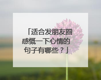 适合发朋友圈感慨一下心情的句子有哪些？