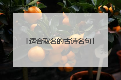 适合取名的古诗名句