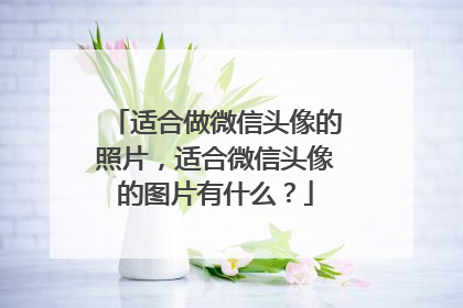 适合做微信头像的照片，适合微信头像的图片有什么？