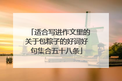 适合写进作文里的关于包粽子的好词好句集合五十八条