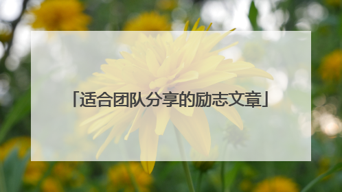 适合团队分享的励志文章