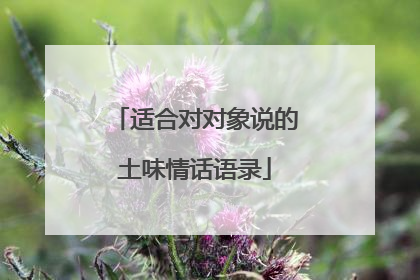 适合对对象说的土味情话语录