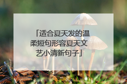 适合夏天发的温柔短句形容夏天文艺小清新句子