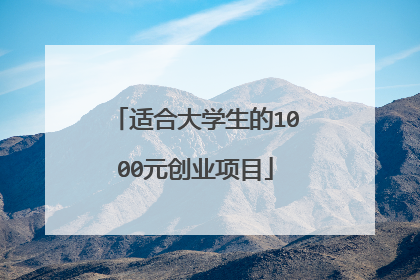 适合大学生的1000元创业项目