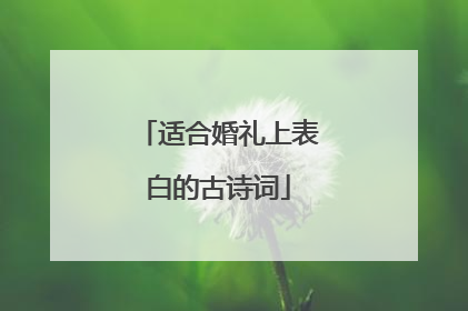 适合婚礼上表白的古诗词