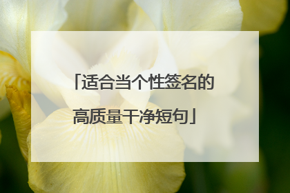 适合当个性签名的高质量干净短句