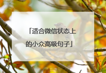 适合微信状态上的小众高级句子