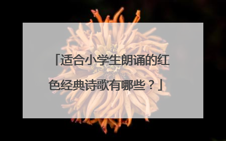 适合小学生朗诵的红色经典诗歌有哪些？