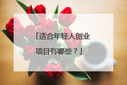 适合年轻人创业项目有哪些？