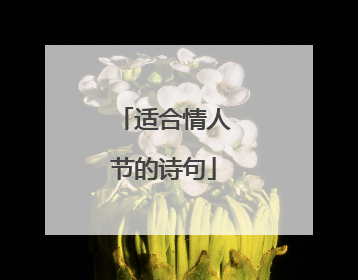 适合情人节的诗句