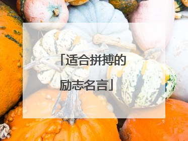 适合拼搏的励志名言