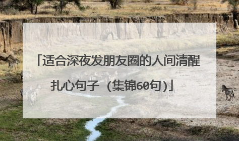 适合深夜发朋友圈的人间清醒扎心句子 (集锦60句)