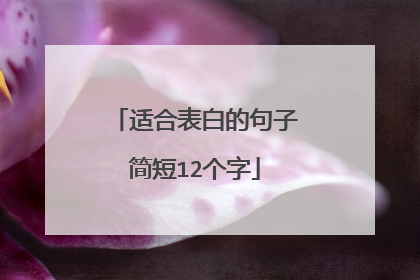 适合表白的句子简短12个字