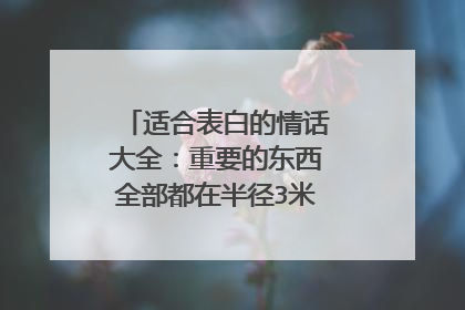 适合表白的情话大全：重要的东西全部都在半径3米之内，其中有你