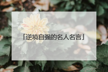 逆境自强的名人名言