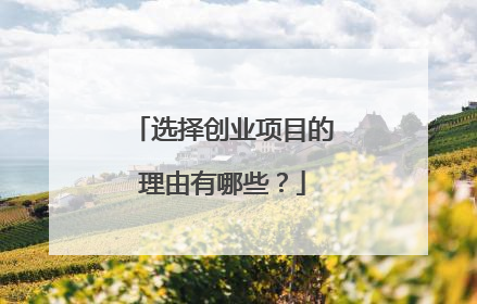 选择创业项目的理由有哪些？