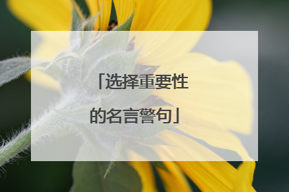 选择重要性的名言警句