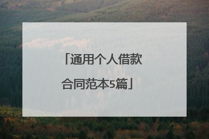 通用个人借款合同范本5篇