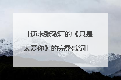 速求张敬轩的《只是太爱你》的完整歌词
