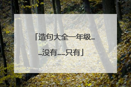 造句大全一年级……没有……只有