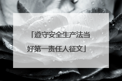 遵守安全生产法当好第一责任人征文