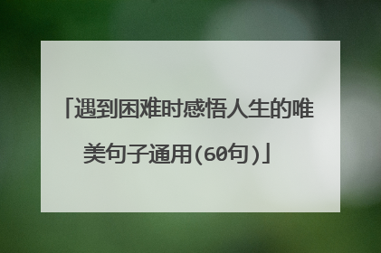 遇到困难时感悟人生的唯美句子通用(60句)