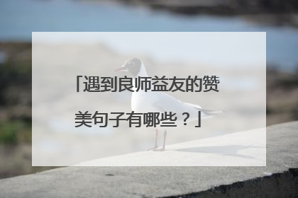 遇到良师益友的赞美句子有哪些？