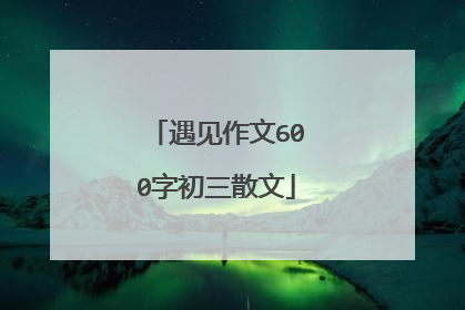 遇见作文600字初三散文