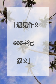 遇见作文600字记叙文