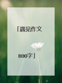 遇见作文800字