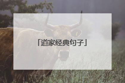 道家经典句子