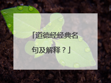 道德经经典名句及解释？