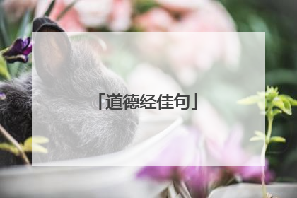 道德经佳句