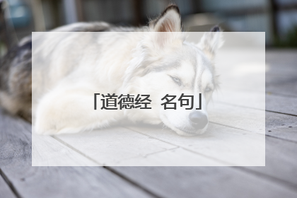 道德经 名句