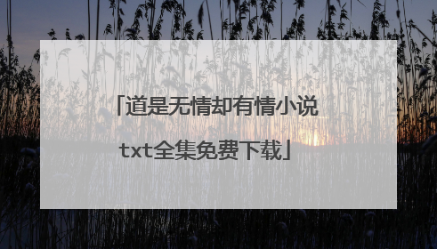道是无情却有情小说txt全集免费下载