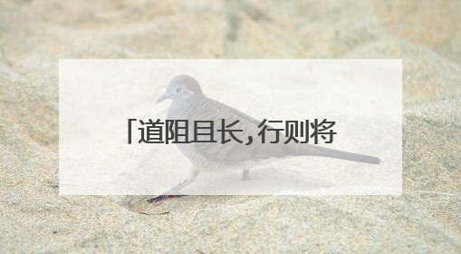 道阻且长,行则将至 行而不辍,未来可期意思是什么?