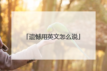 遗憾用英文怎么说
