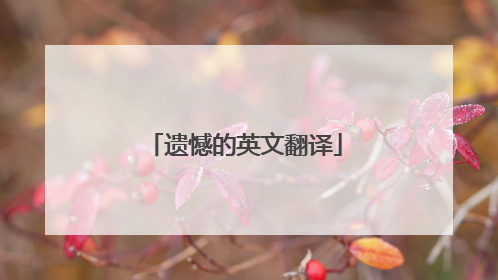 遗憾的英文翻译