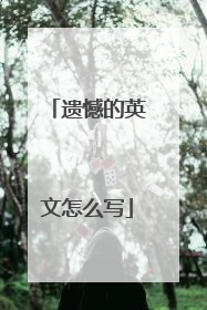 遗憾的英文怎么写