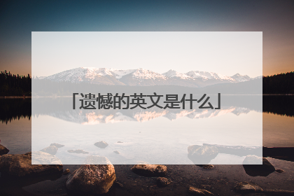 遗憾的英文是什么