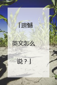遗憾 英文怎么说？