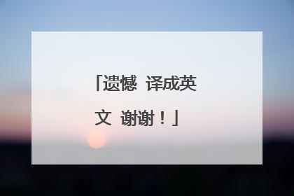 遗憾 译成英文 谢谢！